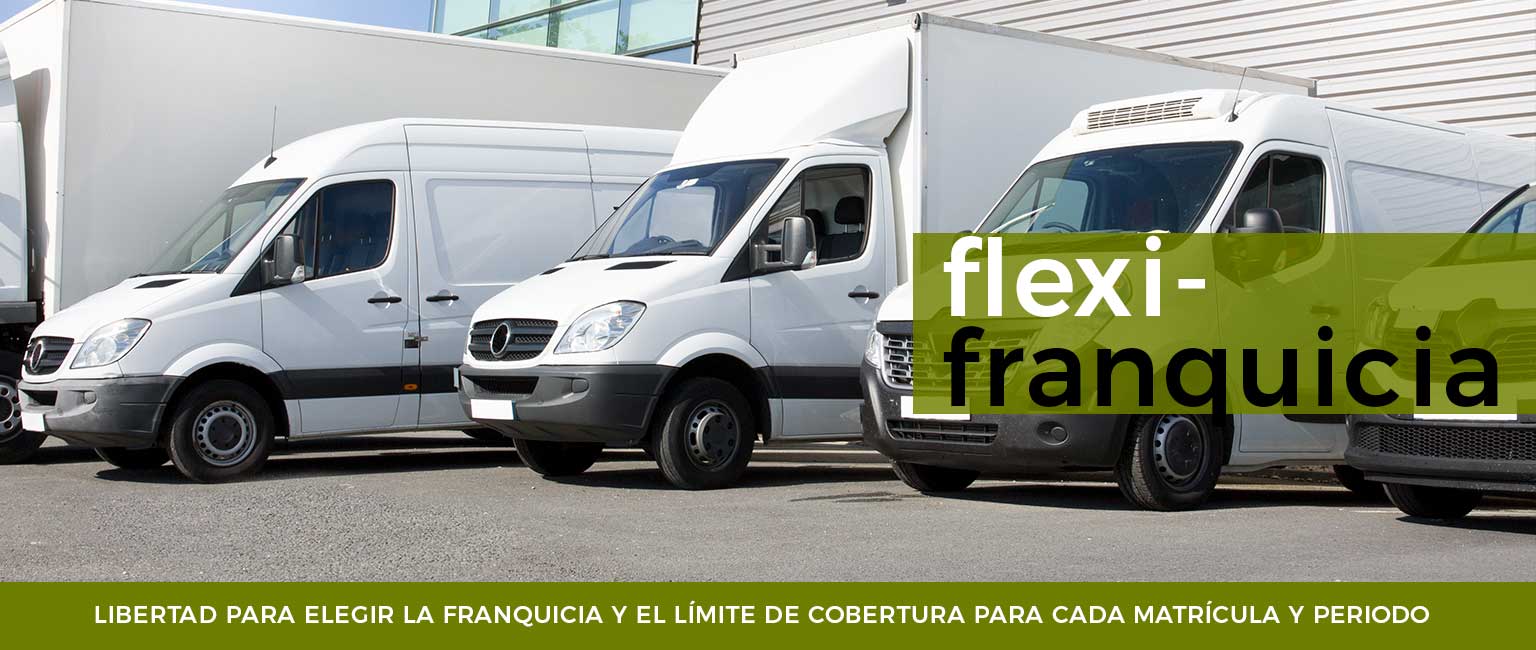 BANNER-WEB-FELXI-FRANQUICIA