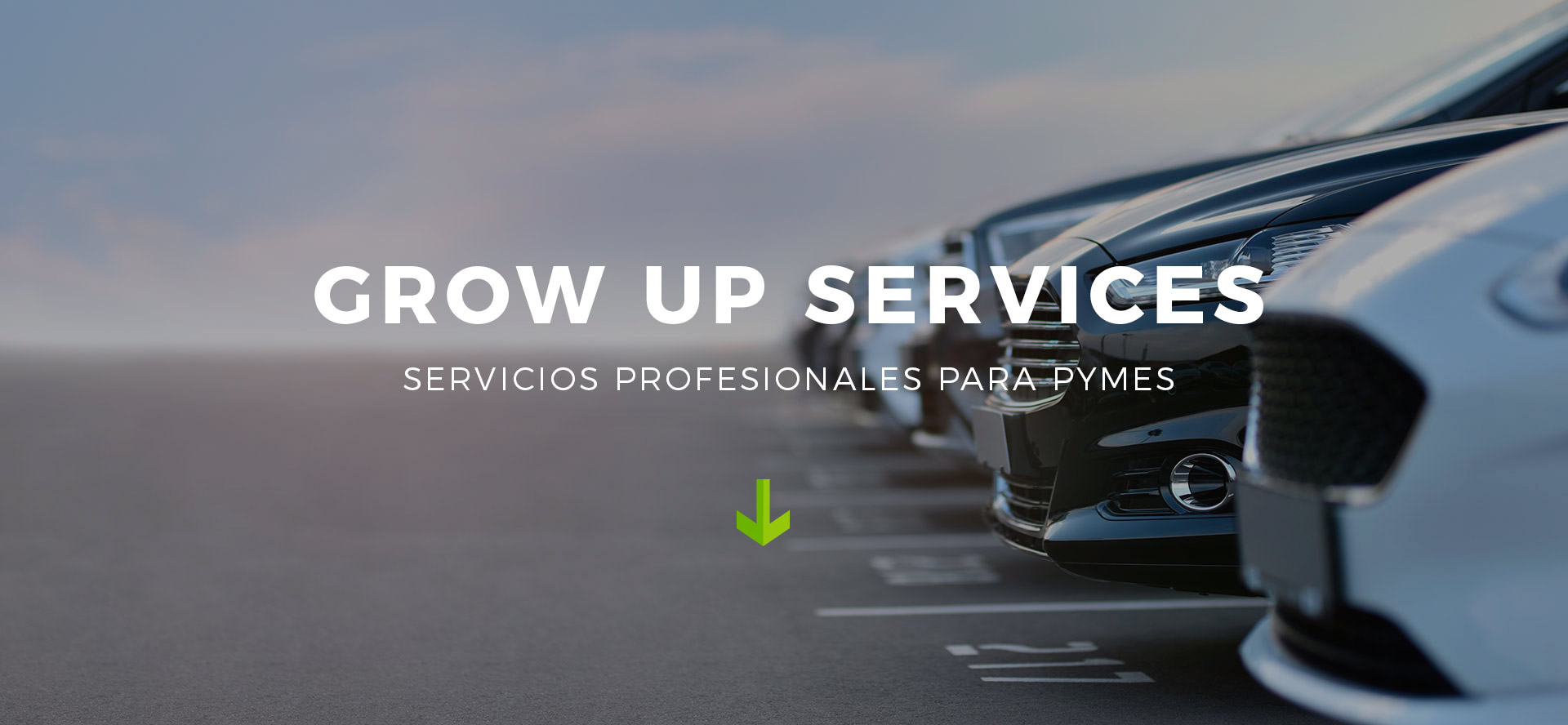 BANNER-WEB-GROW-UP-SERVICES